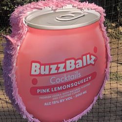 Pink  Piñata 