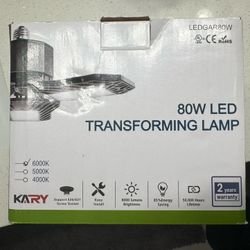 Transforming LED Lamp