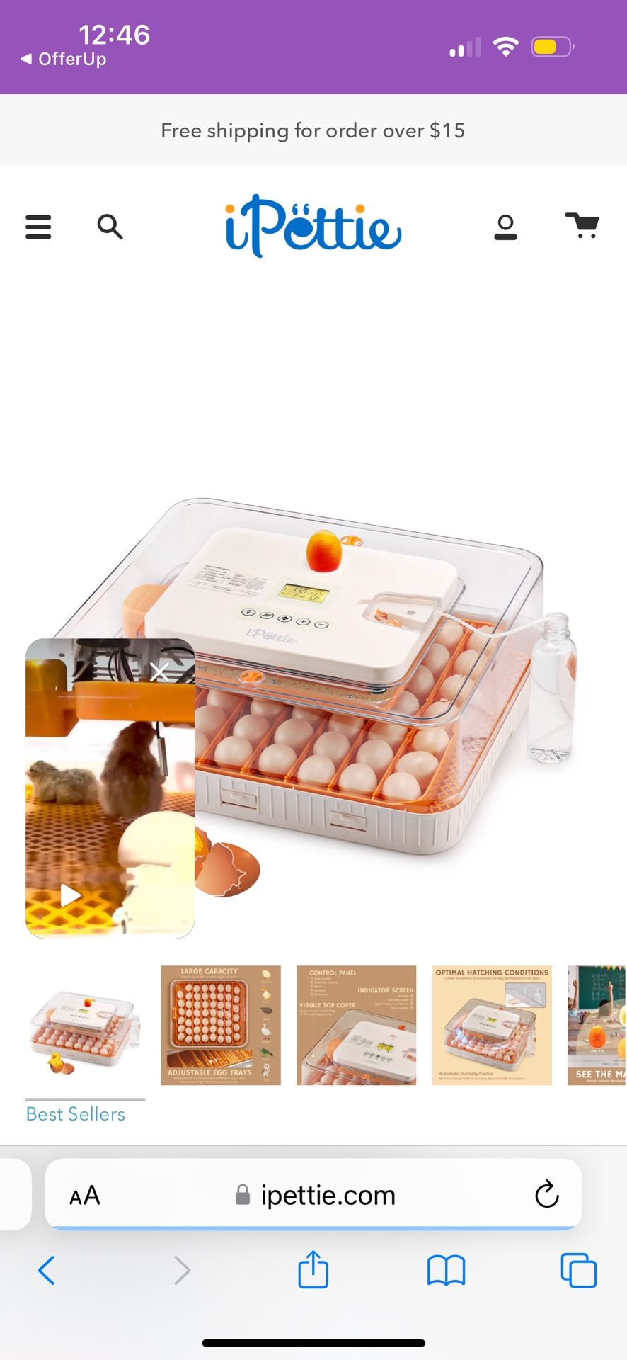 Incubator 56 Egg With Turner