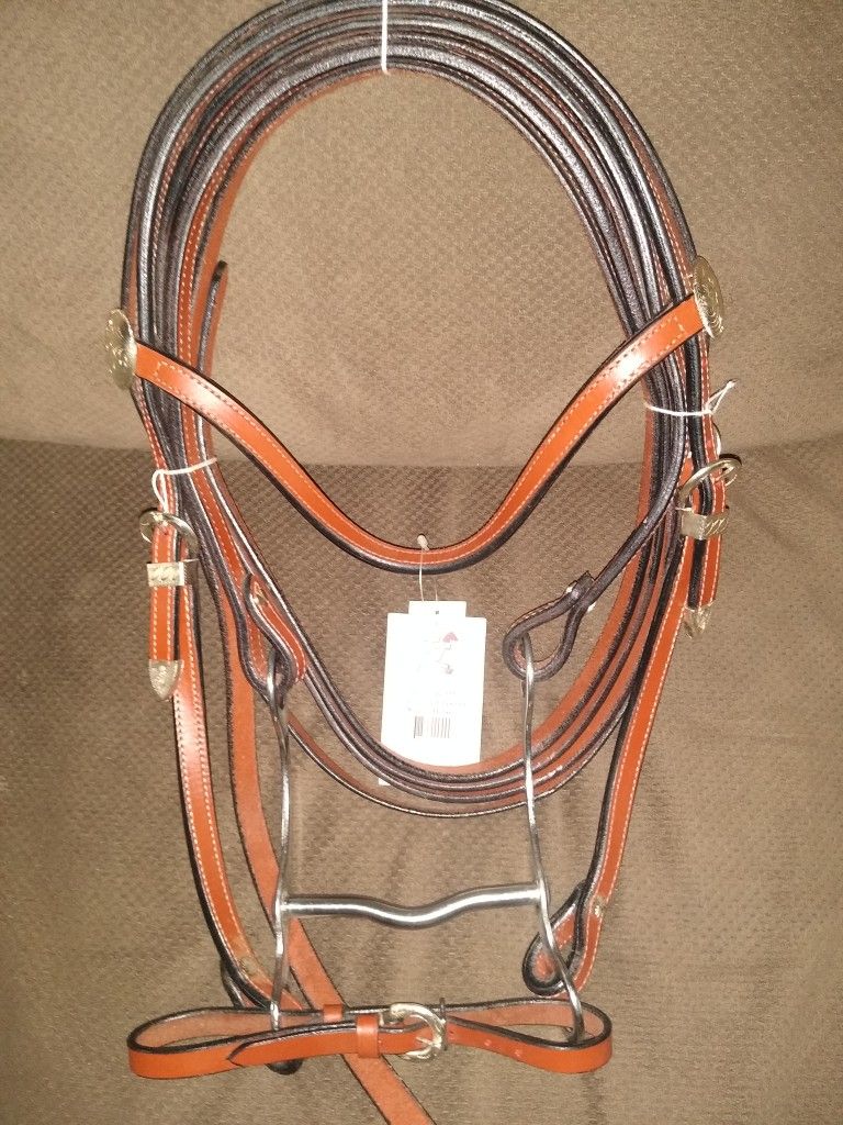 JT International Horse Bridle