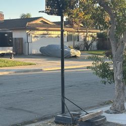 Free Basketball Hoop