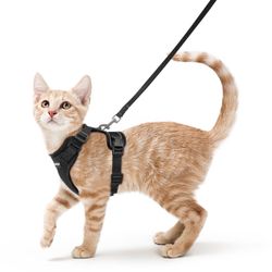 Several New Cat Leashes Harnesses