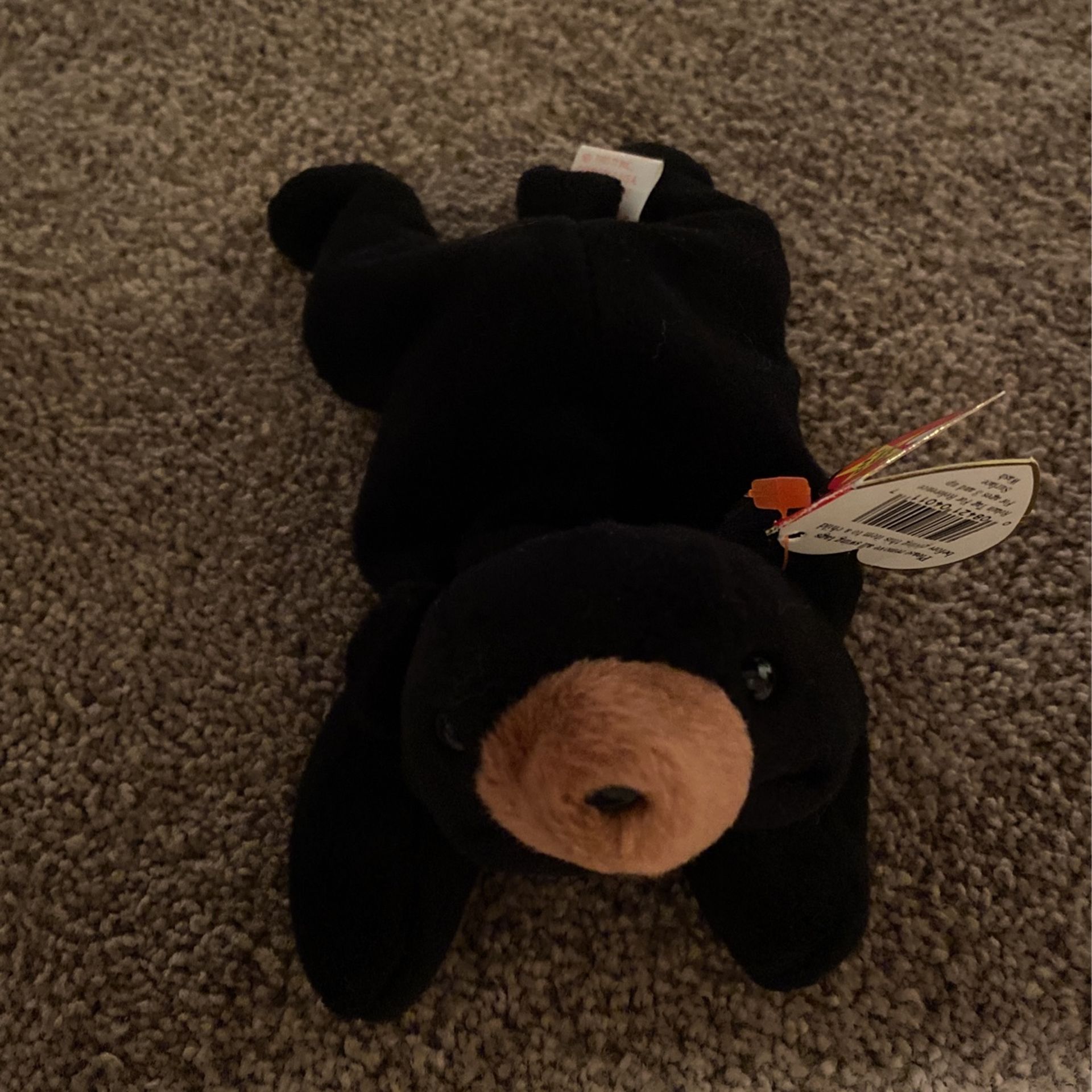 Blackie The  Bear Beanie Baby 