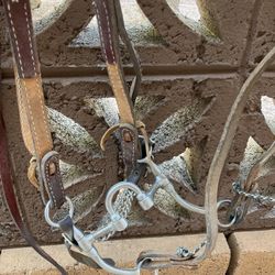 Horse Bridles
