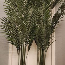 MOSADE Artificial Areca Palm Tree 6.5Feet Fake Tropical Palm Plant And Handmade Seagrass Basket, Perfect Tall Faux Dypsis Lutescens Plants For Entrywa