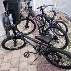 2 Bicycles Size 20 And One Size 24 
