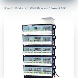 Chick Brooder With Automatic Temperature Regulation 5 Layers Hatching Time