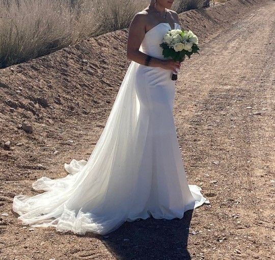 Wedding Dress & Veil