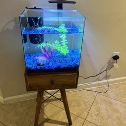Fish, Fish Tank and Stand 