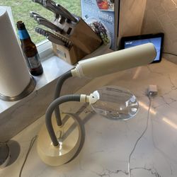 Ottlite 13x Magnifying And Light Lamp Combo 