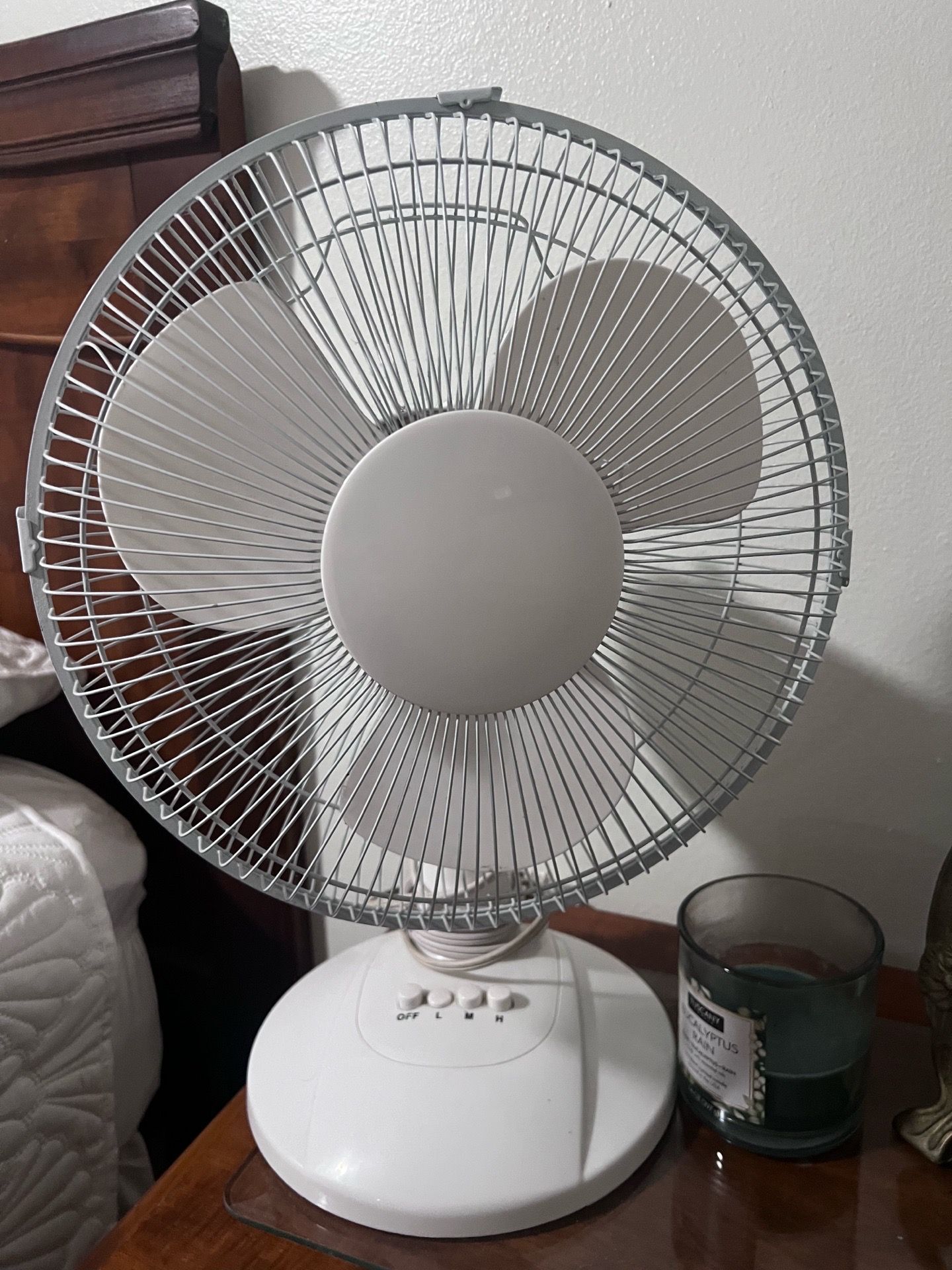Fan