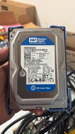 500 Gigs SSD Western Digital