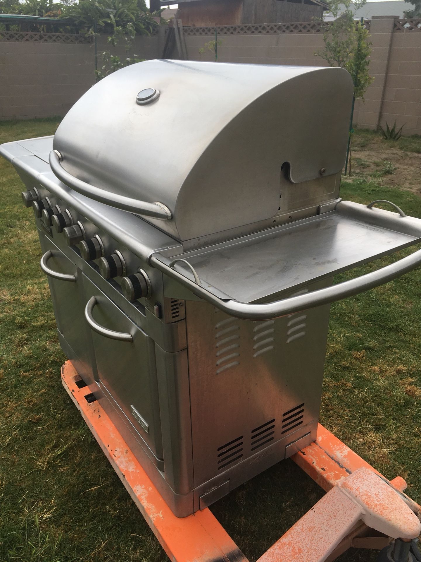 KIRKLAND BARBECUE GRIL WITH OVEN AND SIDE BURNER For Sale In Garden   F6ca81d766234466a6d62b7843421de7 