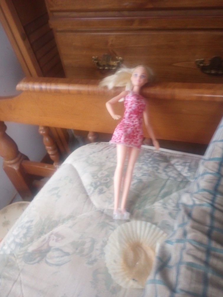 This Is Brand New Barbie Doll