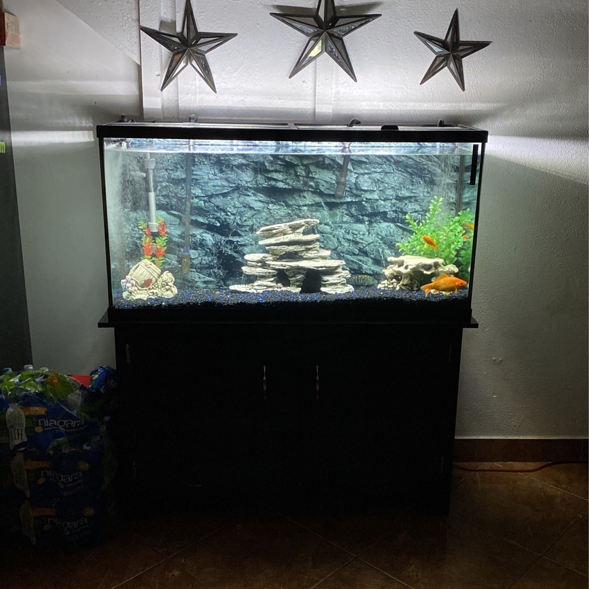 60 Gallon Fish Tank And Stand Aquarium