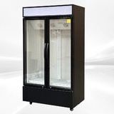 NSF 41 ins Commercial Merchandising door cooler LC-800A