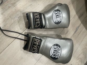 Cleto reyes 14 oz gloves