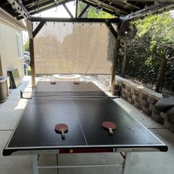 Ping Pong Table (Stiga)