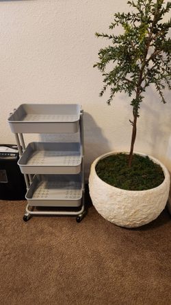 3 Tier Rolling Cart