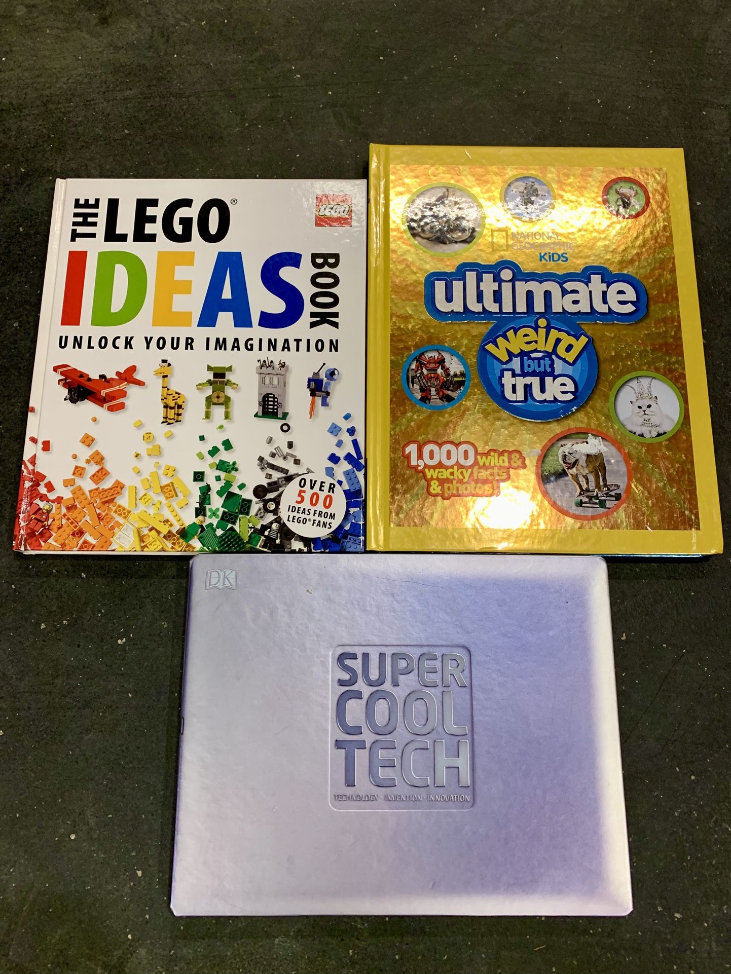 Explore & Discover: A Fun Learning Adventure for Curious Kids!