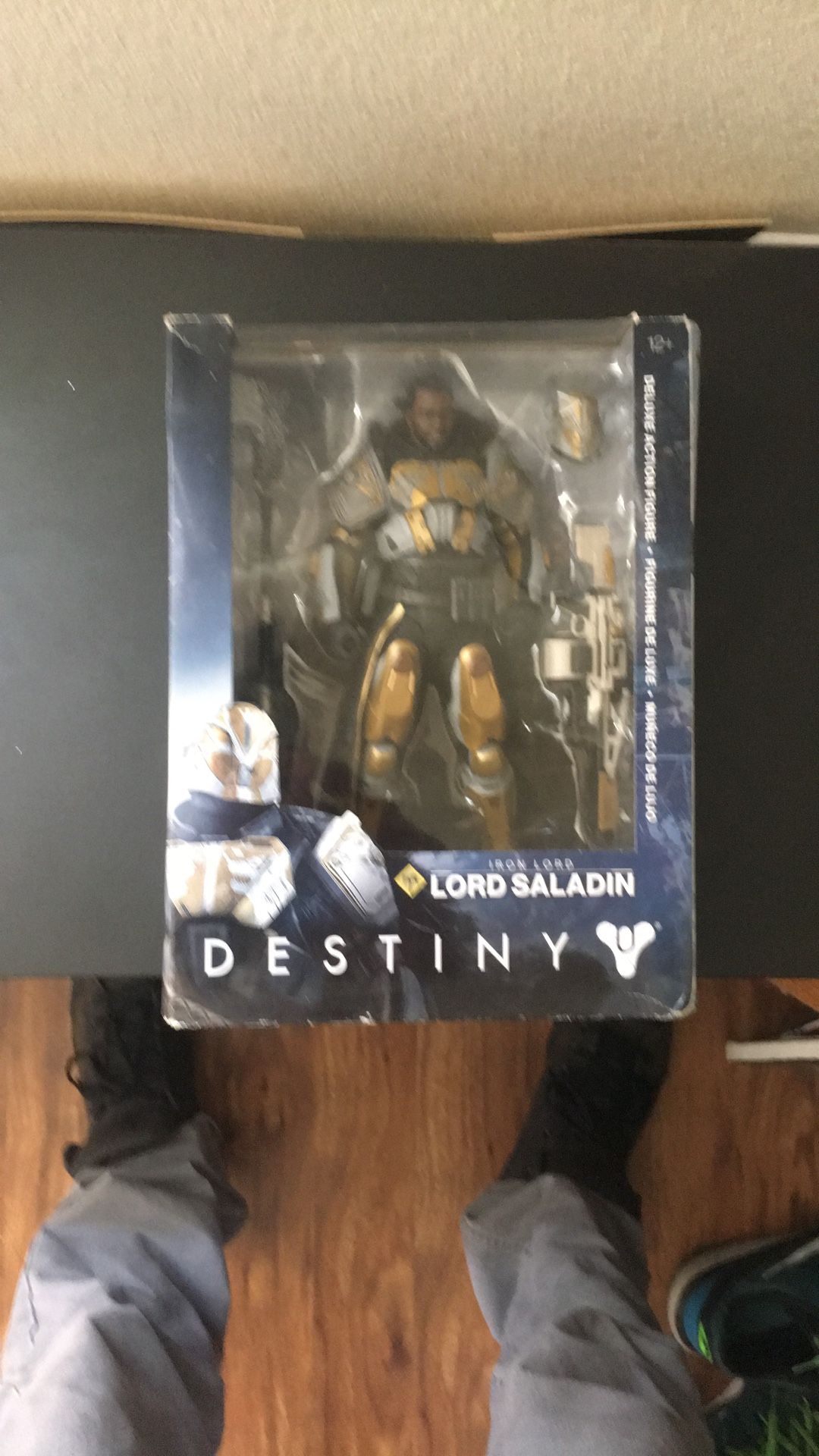 Destiny Lord Saladin