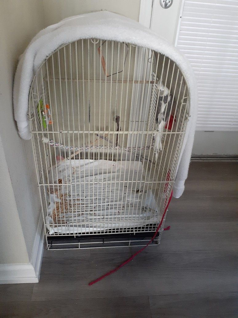 Bird Caged