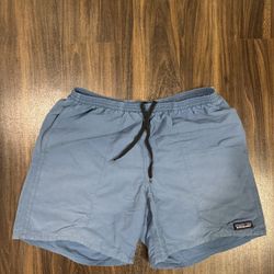 Patagonia Men Shorts Size M