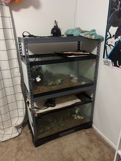 Reptile tanks