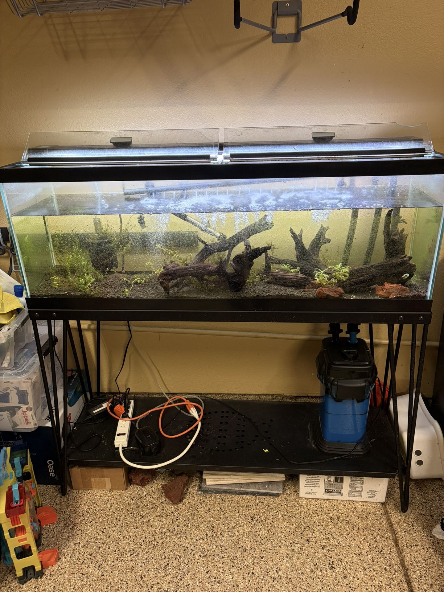 40 Gallon Aquarium with stand and pennplax 1000 filter