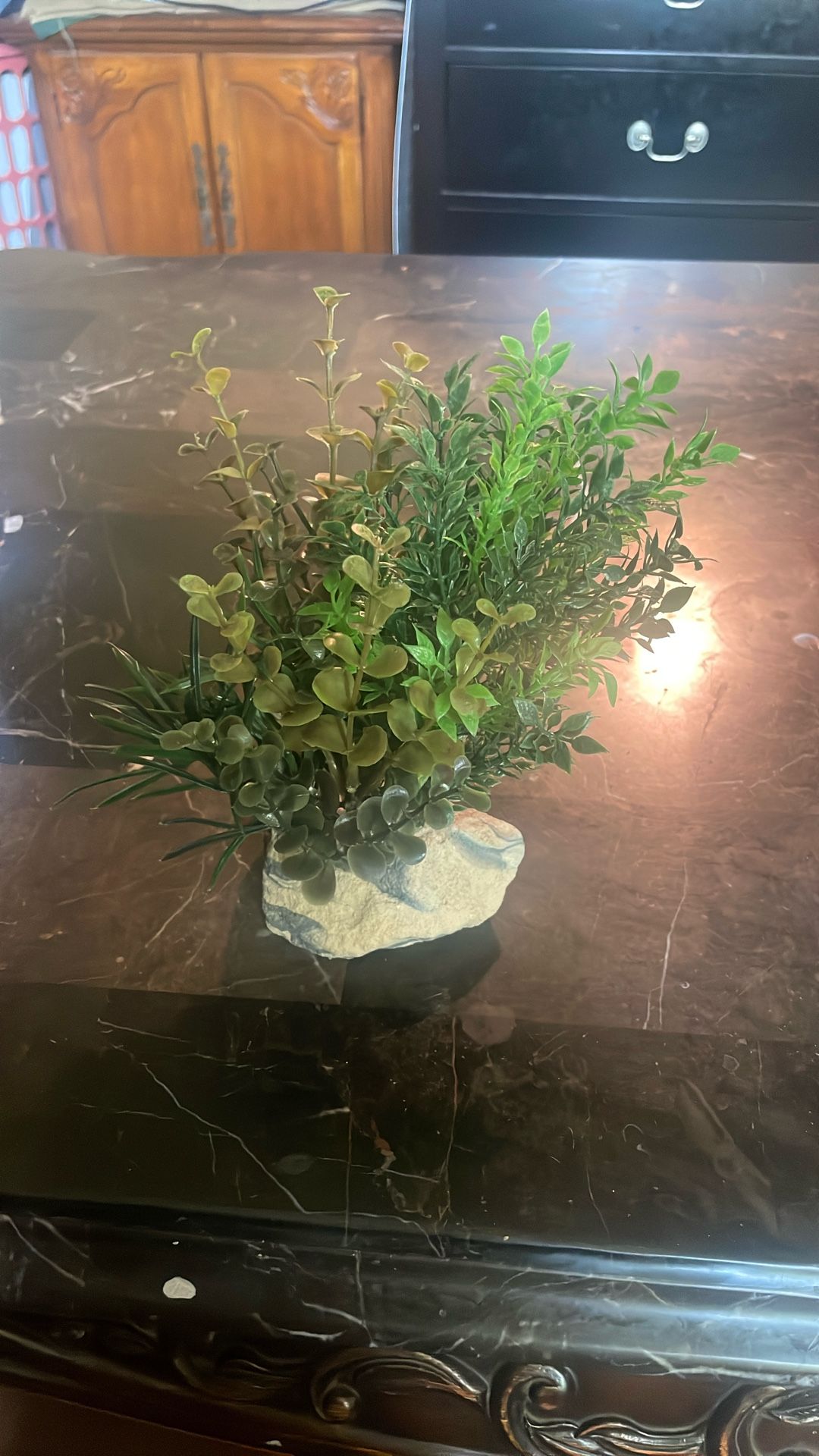 Fish Tank Accessories
