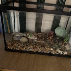 Brand New Fish Tank 