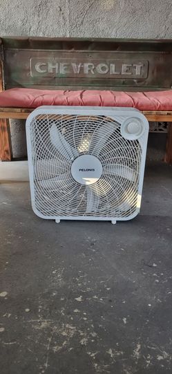 Fan