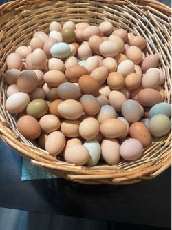100% organic chicken eggs