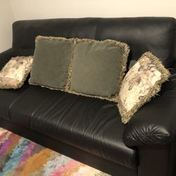 Couch Cushions 