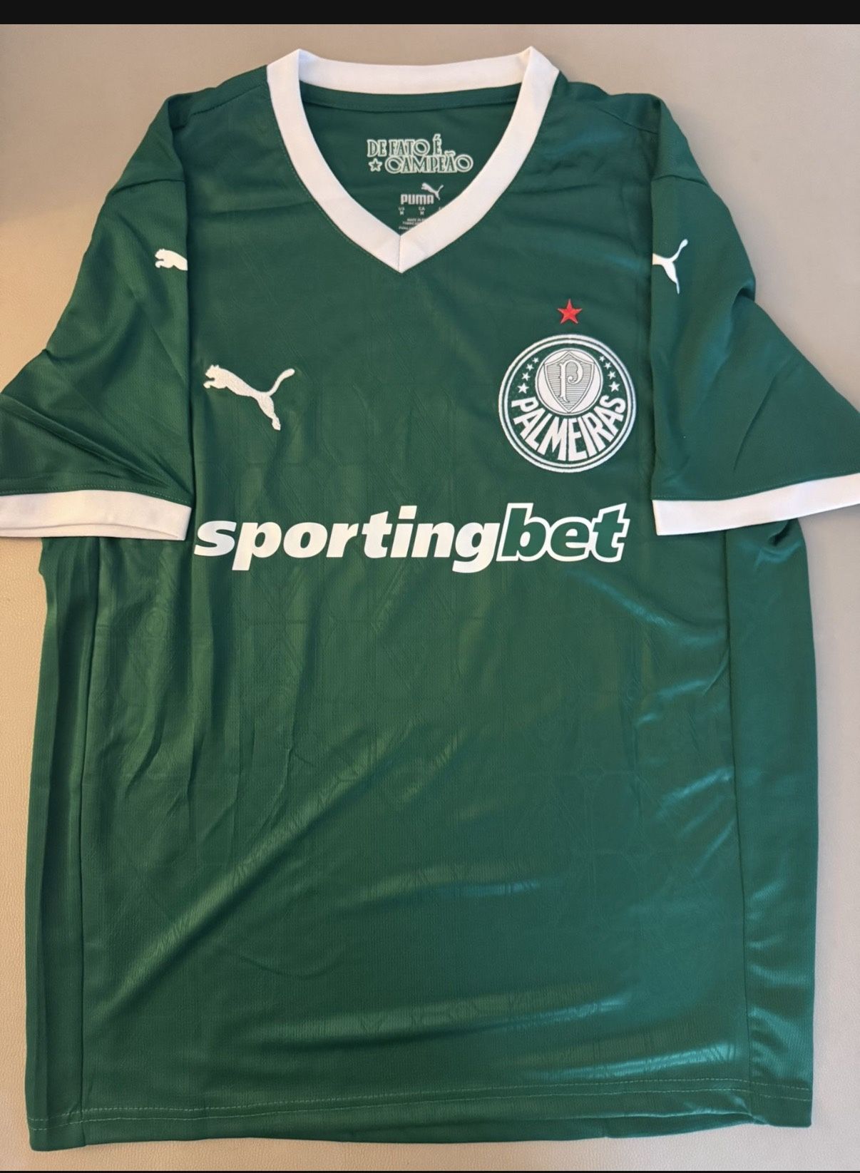 Palmeiras Jersey 
