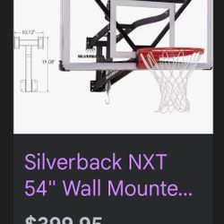 54” Wall Mount Basketball Hoop