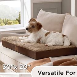 Comfy Flat Pet Beds with Removable Washable Cover
