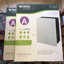 NIB Pair Of WINIX True HEPA Replacement Filter (A) w/4 Activated Carbon Filters Sealed - Compare @$70+