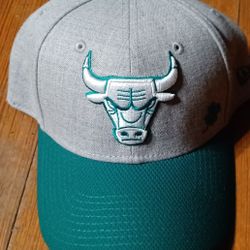Chicago Bulls Hat Cap New Green Grey Color Fitted Size Small Medium Jordan Pippen Rodman