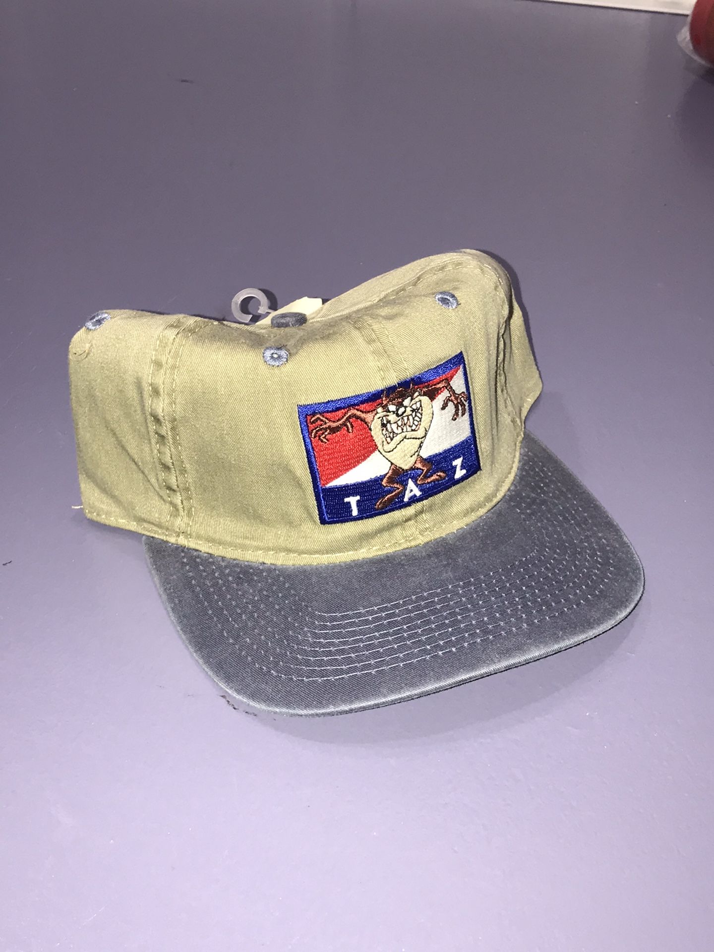 Vintage Looney Tunes Taz strapback