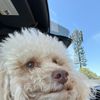 Sam