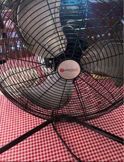 Fan