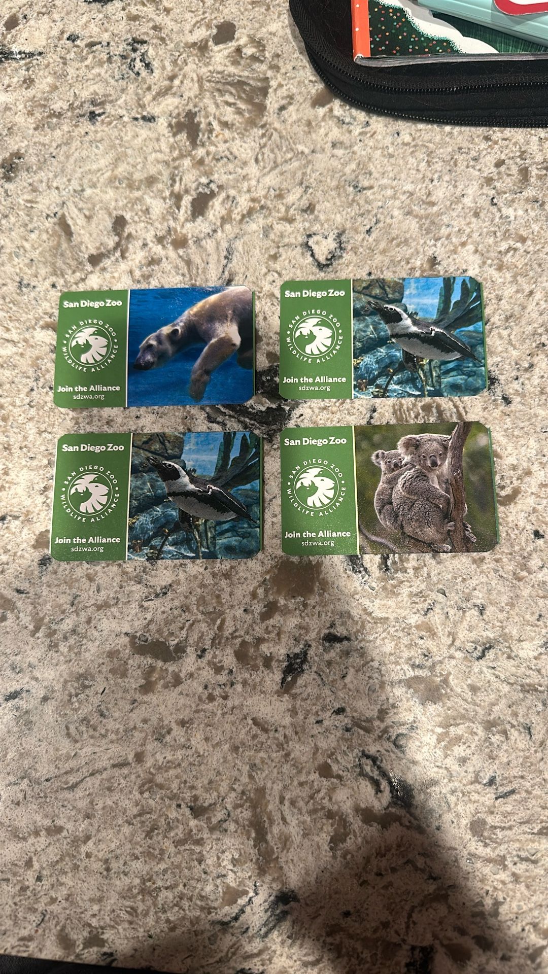 San Diego Zoo Half Off Tickets 