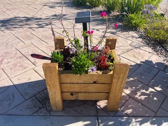 Planter Boxes (Plants Included)