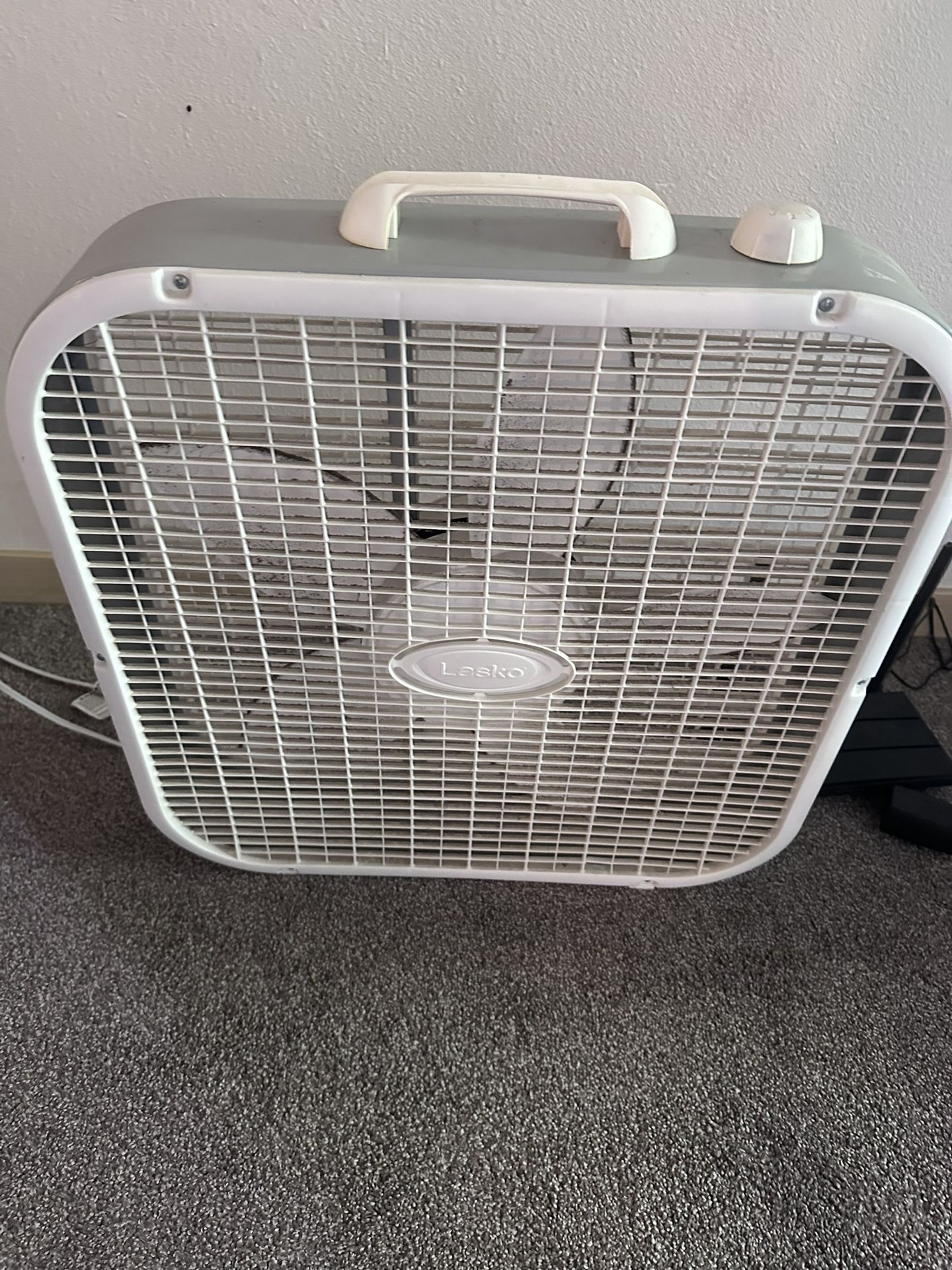 Fan