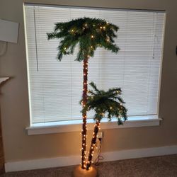 Lighted Palm Tree