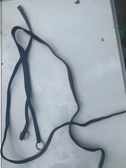running martingale attachment
