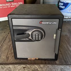 SentrySafe Mountable Safe