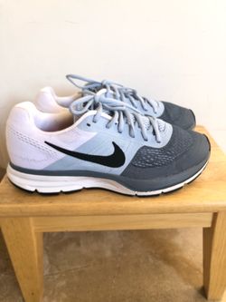 Men’s Nike Pegasus shoes