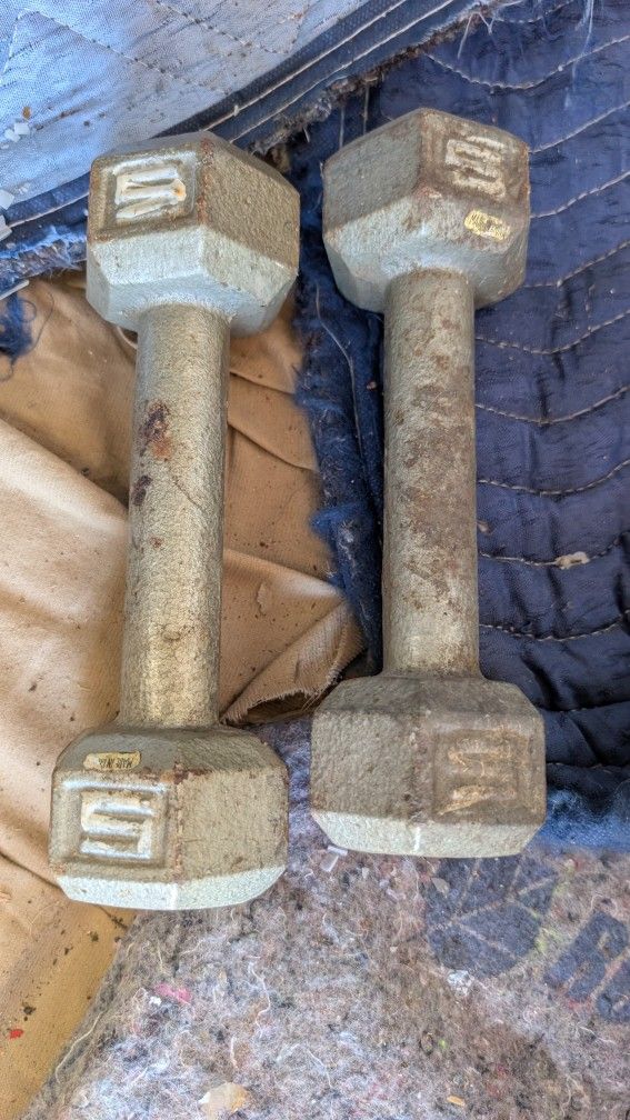 2) 5lb Weights 5 Pound Dumbbell Weight Pair